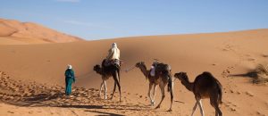 5-Day Desert Tour from Casablanca