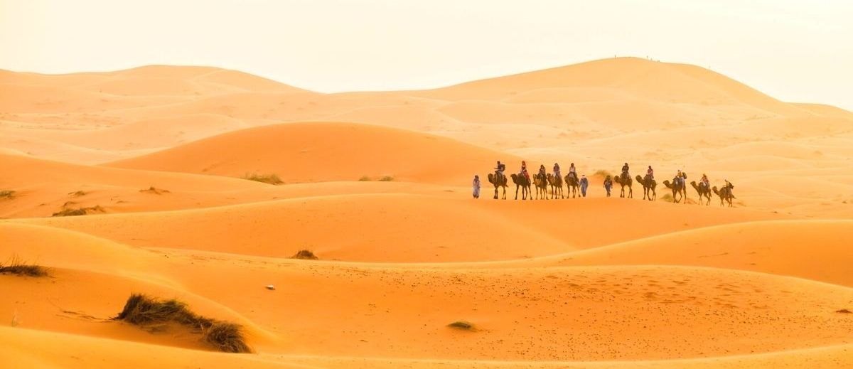 9-Day Desert and Imperial Cities Tour from Marrakech