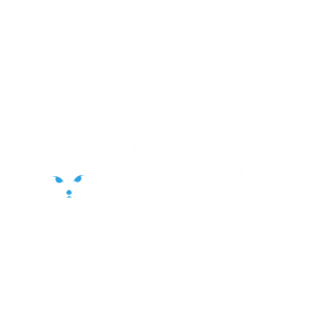 Morocco Trip Time