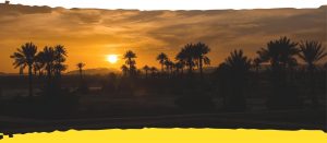 Morocco Trip Time Services