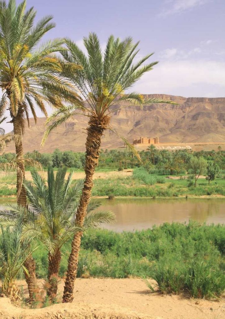 5 days Marrakech desert tour