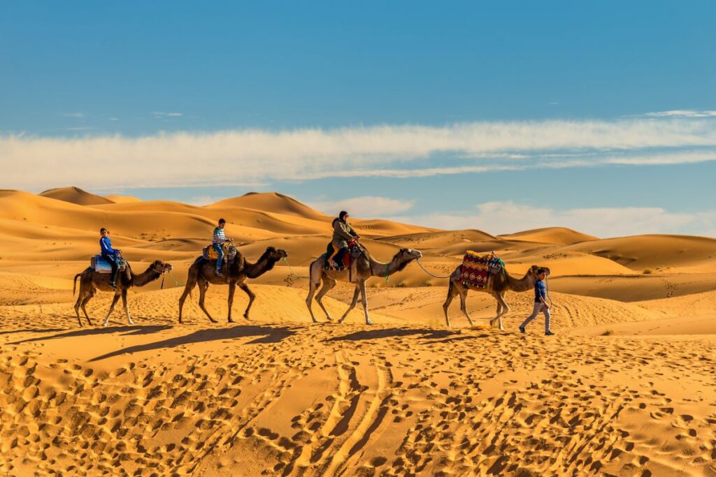 Camel Treks Erg Chebbi