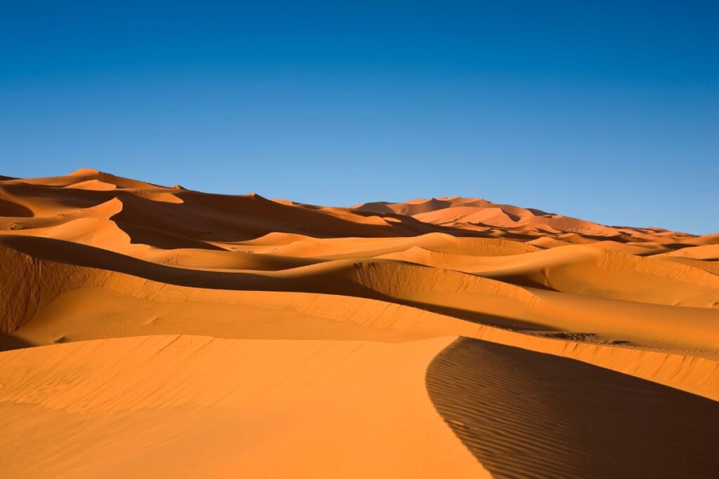 Moroccan Sahara Desert