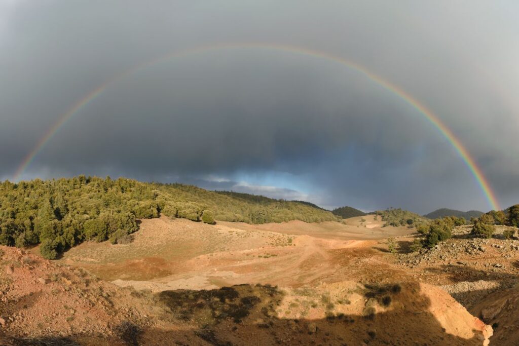 Ifrane National Park