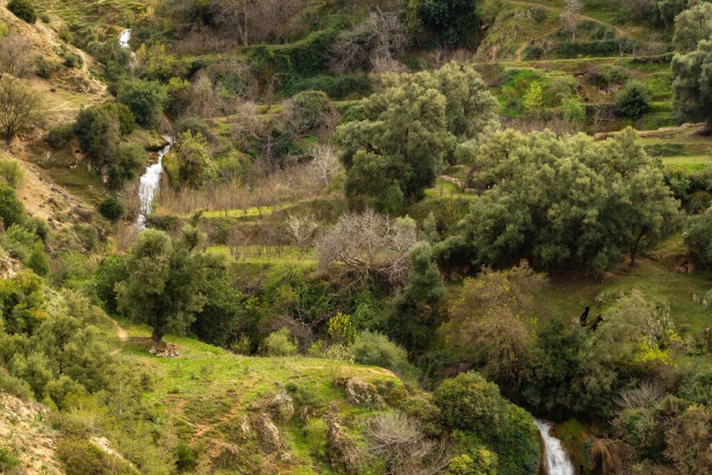 Tazekka National Park