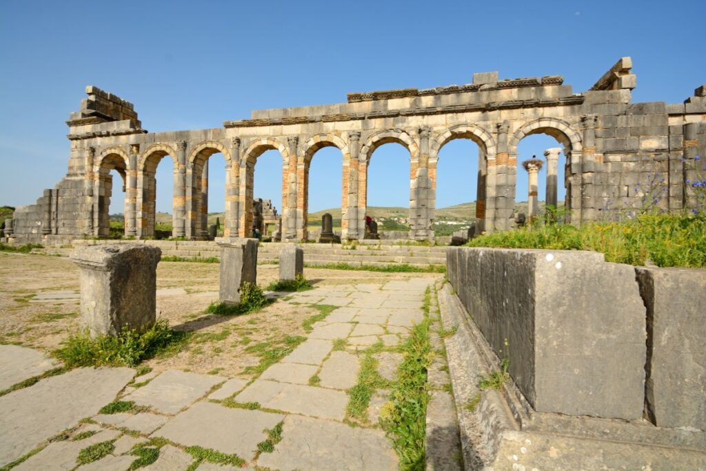 Visit Volubilis