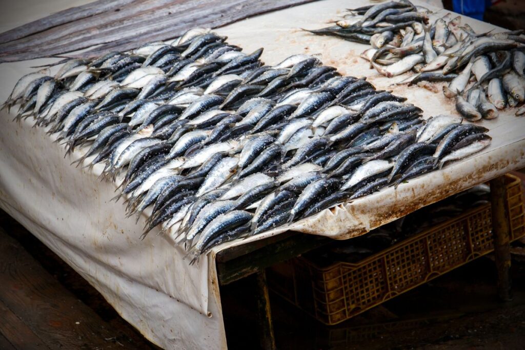 Fish at moroccan market