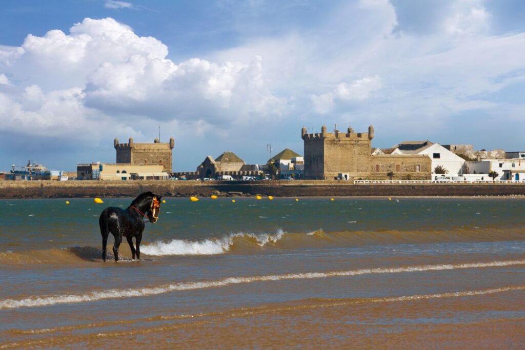 Essaouira Beach