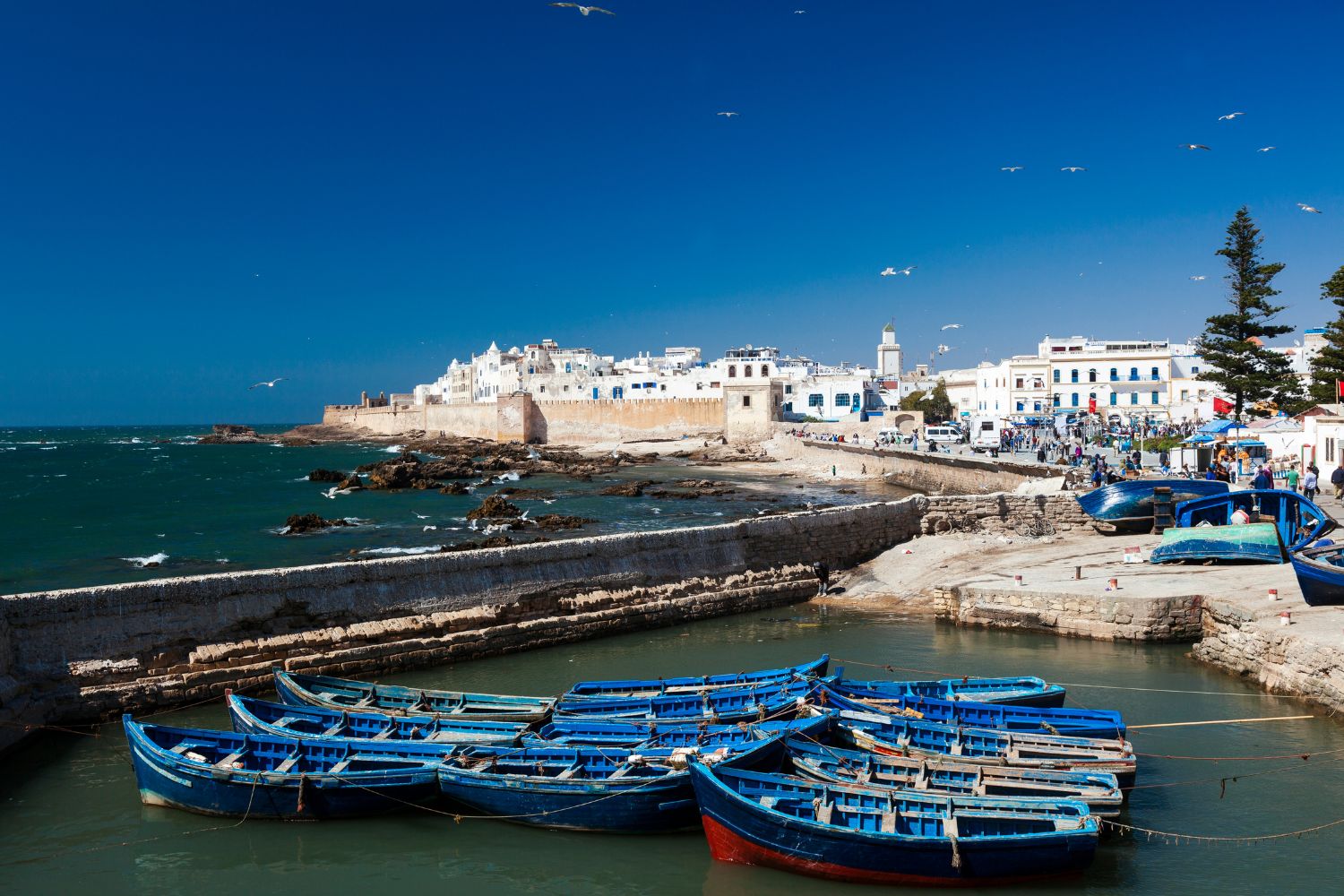 What to Visit in Essaouira