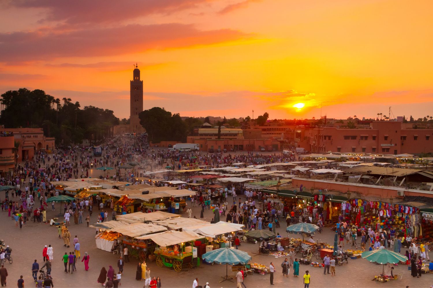 Day Trip in Marrakech