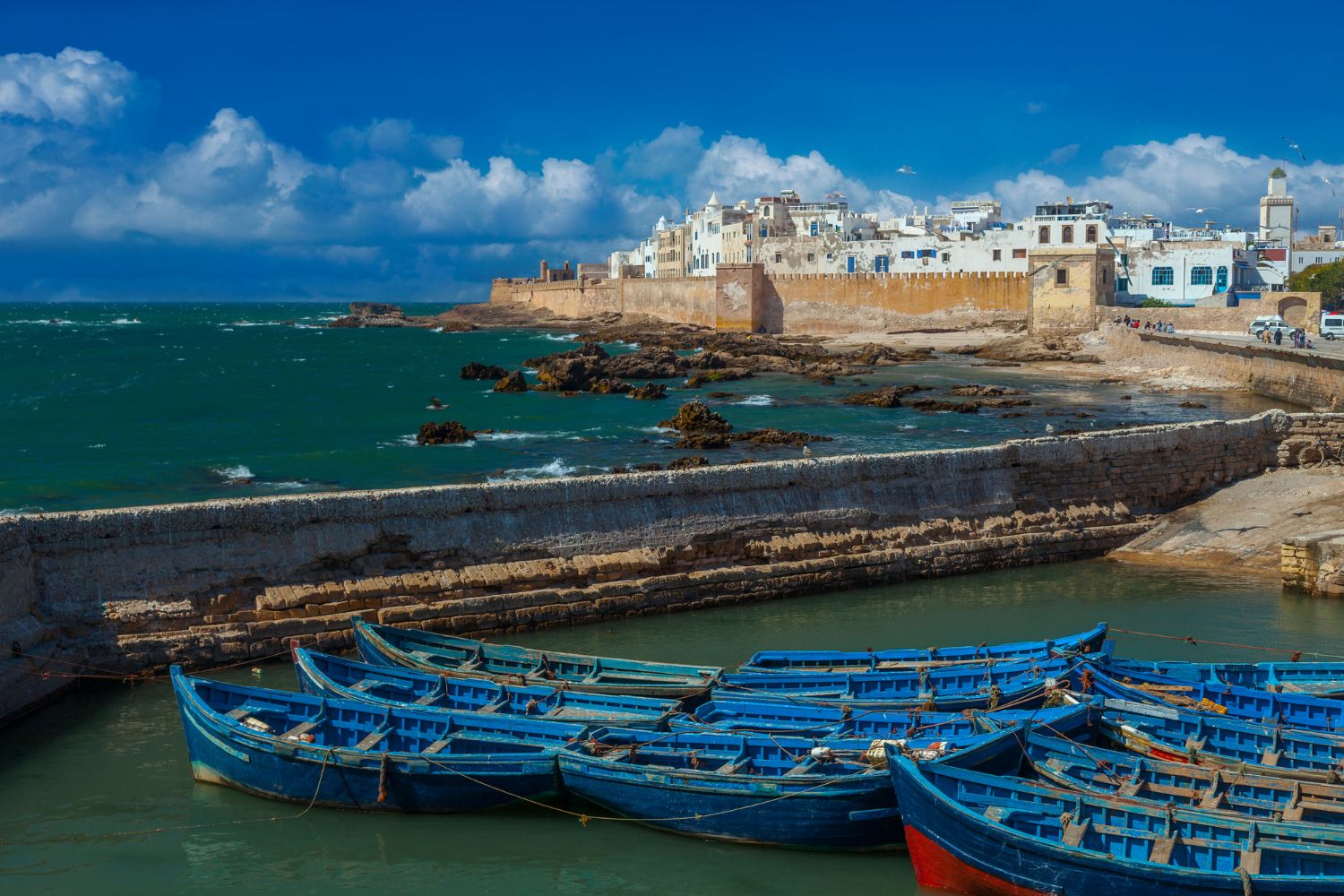 Day trip in Essaouira