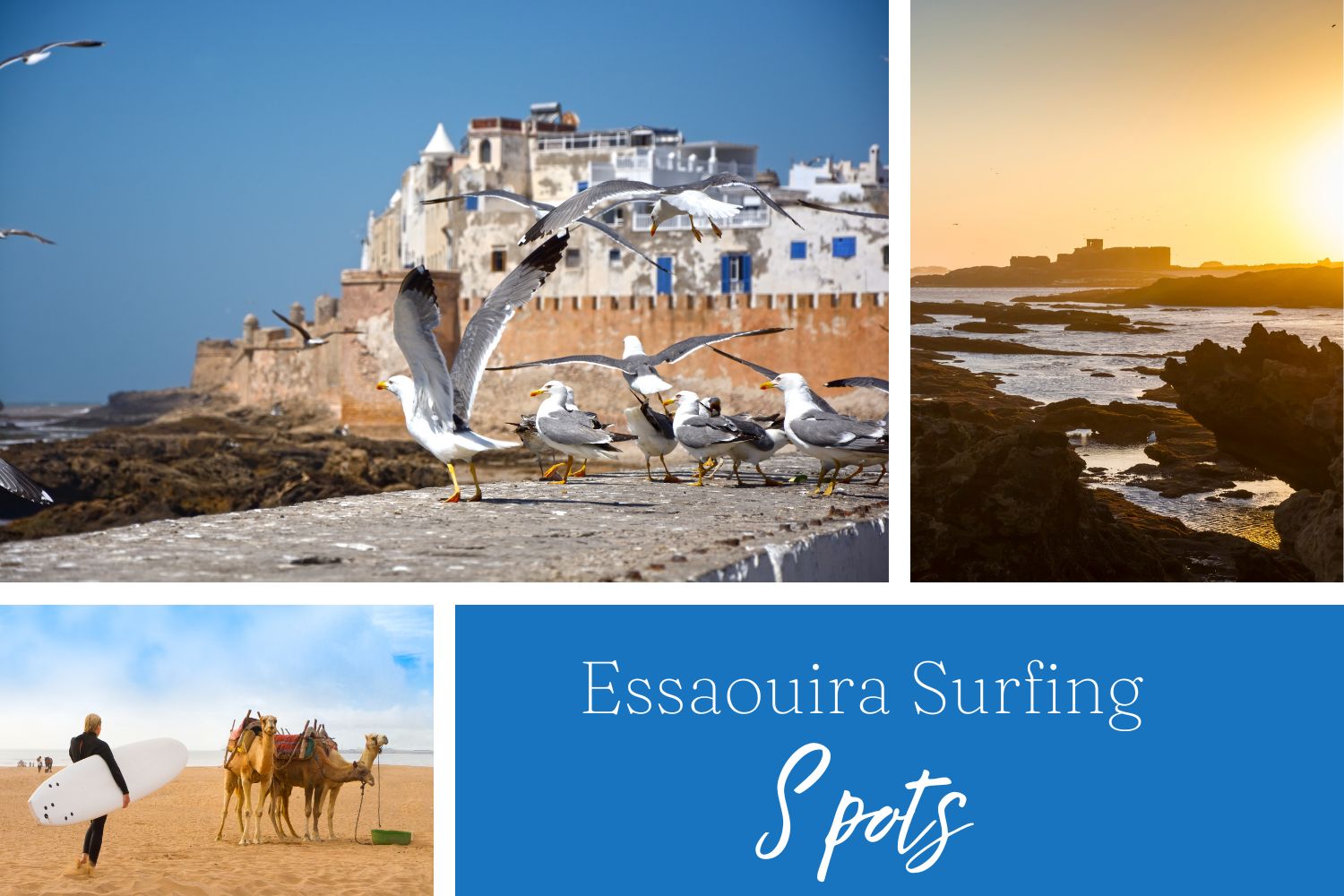 Essaouira Surfing Spots