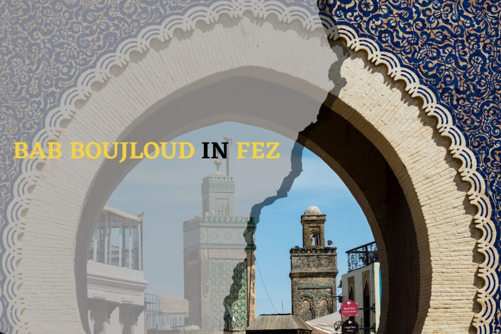 Chouara Tanneries in Fez: Best Guide to Ancient Leather Craft